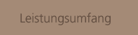 Leistungsumfang